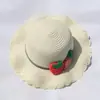 Sombrero de Sol Lindo para Niños Primavera y Otoño Estilo Coreano Estilo Fresco Sombrero de Paja Tejido Sombrero de Sol de Princesa Sombrero de Sol para Playa Ala Ancha Sombrero Fresco de Pescador