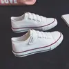 Tênis Casual Feminino Branco com Estampa de Grou 2026, Modelo Novo, Lona de Cano Baixo, Slip-On Versátil com Velcro, Sapatos Planos Casuais Respiráveis