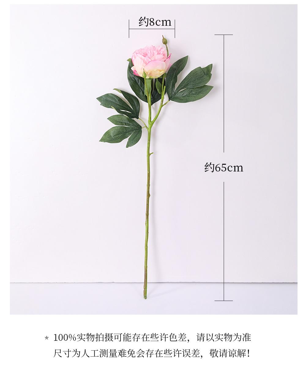 详情_03.jpg