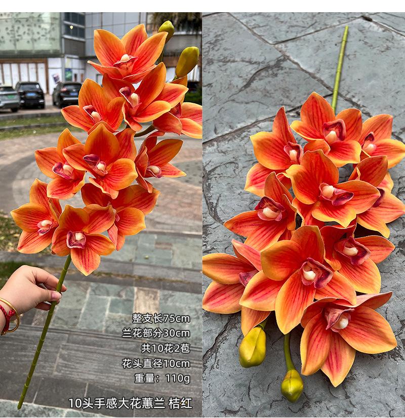 聚美-10头手感大花蕙兰-详情_17.jpg