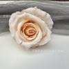 Caja de regalo de pared con cabeza de rosa de simulación, cabeza de rosa falsa, hecha a mano, tela de seda transfronteriza, decoración floral, conjunto de boda