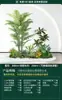 Set de Paisajismo Simulado para Exhibidores de Ventanas Interiores, Decoración de Escaleras, Paisaje de Plantas Verdes Simuladas, Arreglo de Jardín, Adornos de Decoración de Plantas en Maceta