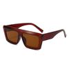 Gafas de sol de moda casual para la playa 2024, gafas de sol protectoras solares para viajes al aire libre y conducción, para hombres y mujeres