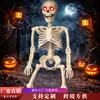 Figura de esqueleto brillante para Halloween 90cm, puede pararse, articulaciones ajustables, decoración de lugar, decoración de ambiente
