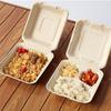 Caja de embalaje desechable degradable pulpa Lonchera comida rápida para llevar caja de hamburguesa lonchera de una pieza con tapa caja con cierre