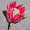 Modelo de flor imperial grande con flocado de manga estilo europeo, accesorios de fotografía de montaje suave para habitación de princesa, venta al por mayor