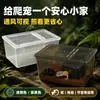 Caixa de reprodução para répteis para geckos, aranhas, escorpiões, sapos-de-chifre, aquário de tartaruga, aquário de reprodução de caranguejo eremita, caixa de reprodução de segunda geração