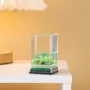 Novos Ornamentos de Selo de Cristal de Pedra Curativa com Nomes de Família, Figurinhas de Cristal Naturais, Decorações de Mesa, Atacado