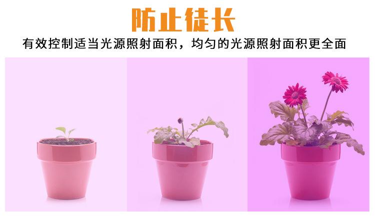 变形金刚-植物灯B款(阿里巴巴)-(红蓝灯珠-)详情页_05