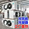 Unidad Terminal de Fan Coil para Almacenamiento en Frío Industrial DD/DL/DJ Montada en Techo Comercial Aspersión de Agua Descongelación Eléctrica Condensador de Enfriamiento Evaporativo