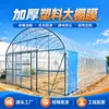 Filme Agrícola Espesso e Resistente para Estufa Proteção contra Frio Proteção contra Geada Proteção contra Chuva e Neve Alta Transmissão de Luz Plantio em Estufa Frutas e Vegetais Filme Plástico