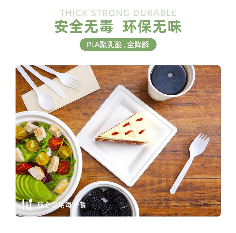 6-PLA叉勺.jpg