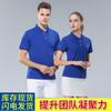 Overol de algodón seda de hielo sudamericano, camisa polo con solapa, manga corta, camisa cultural, ropa de trabajo para empresa de grupo, bordado de LOGOTIPO