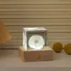 Luminária Noturna Criativa Cubo de Dente-de-leão Luminoso com Base Recarregável, Decoração de Mesa para Quarto, Artesanato, Lembranças