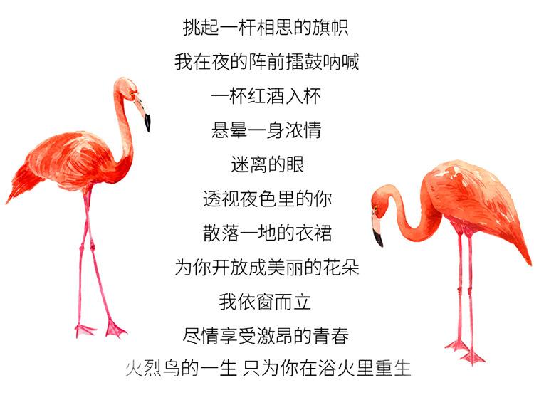 火烈鸟
