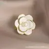 Moda Ramillete Broche Transfronterizo Alto Nivel para Mujer Anti-luz Mariposa Broche Alto Nivel Sensación Nicho Nuevo Ramillete Accesorios