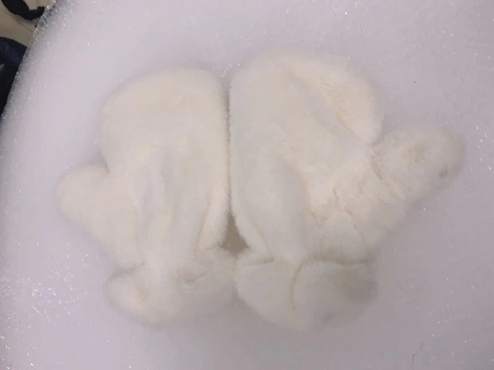 微信图片_202310251909271