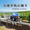 Vehículo de transporte por monorraíl para huertos, vía eléctrica de cuerpo estrecho para la cosecha y transferencia de frutas y verduras, vehículo de transporte de materiales agrícolas de bajo perfil