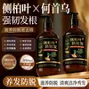 XH Champú de Hoja de Ciprés Anticaída para Personas Calvas Autoayuda Eliminación de Caspa Limpieza Nutrición Anticaída Fortalecimiento de Raíces del Cabello Champú