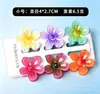 Novo Conjunto Fofo de Seis Peças de Grampos de Cabelo Estilo Férias de Verão com Flor de Plumeria para Praia e Litoral Grampos na Parte de Trás da Cabeça