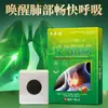 Parches Bronquiales Productos Promocionales para Ventas Ambulantes, Nuevos Productos para el Cuidado de la Salud de Personas Mayores y Acondicionamiento Corporal, Parches de Yeso