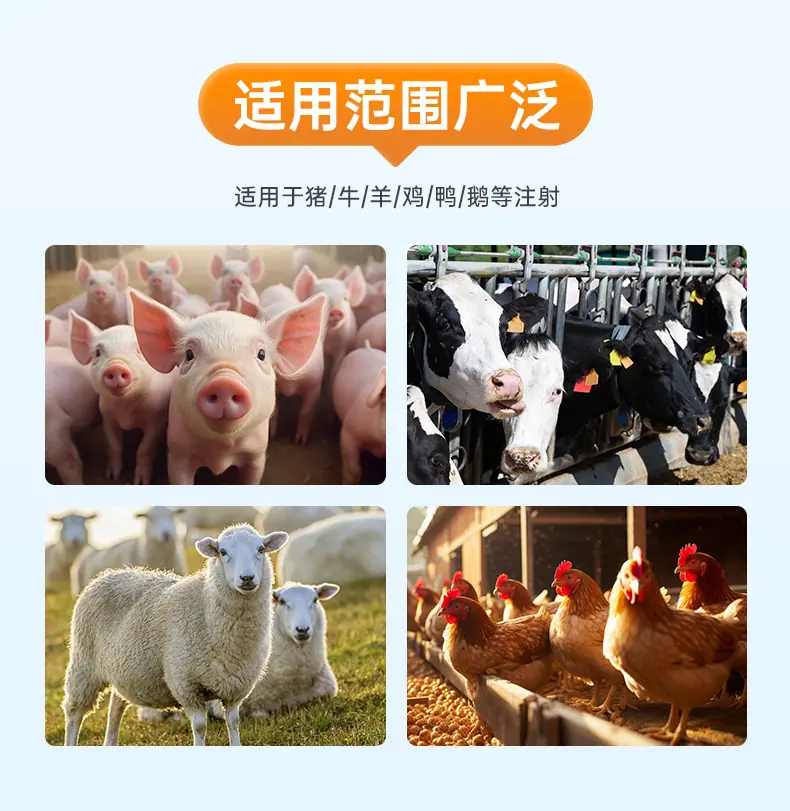 详情_03.jpg