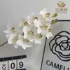 Novo Modelo Flores Artificiais de Orquídea Phalaenopsis em EVA para Decoração de Sala de Estar em Casa, Decoração Floral de Fundo para Hotel Atacado