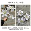 Nuevo Fabricante de Flores Artificiales de Magnolia para Bodas, Flores de Magnolia de 3 Cabezas, Decoración Suave de Fondo para Pasillo de Boda, Flores Falsas al por Mayor