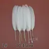 Acessórios para Joias DIY de Pena Branca Pena Branca Pena de Casamento Pena de Ganso Pena de Peru Acessórios Decorativos