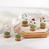 Set de Piedras Brutas de Cristal Natural, Piedra Triturada, Gemas para Árbol de la Fortuna, Minerales Raros, Muestras para Niños, Adornos de Regalo para Escritorio