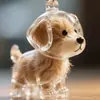 Colgante Transparente Lindo de Gato para Guardar Pelo, Juguete Cápsula de Almacenamiento, Llavero para Guardar Pelo de Gato, Colgante para Bolso, Recuerdo