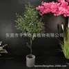Simulação Árvore de Oliveira Planta Verde Bonsai Planta Grande Árvore de Vaso Falsa Decoração de Interior Nórdica para Chão Ornamentos