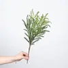 Venta al por mayor de plantas verdes ornamentales para paredes, incluyendo helechos, clemátides, helechos silvestres de montaña, bambú negro, tuya, helechos de espárrago y helechos extranjeros