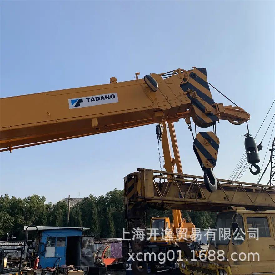 25 ton crane (5)