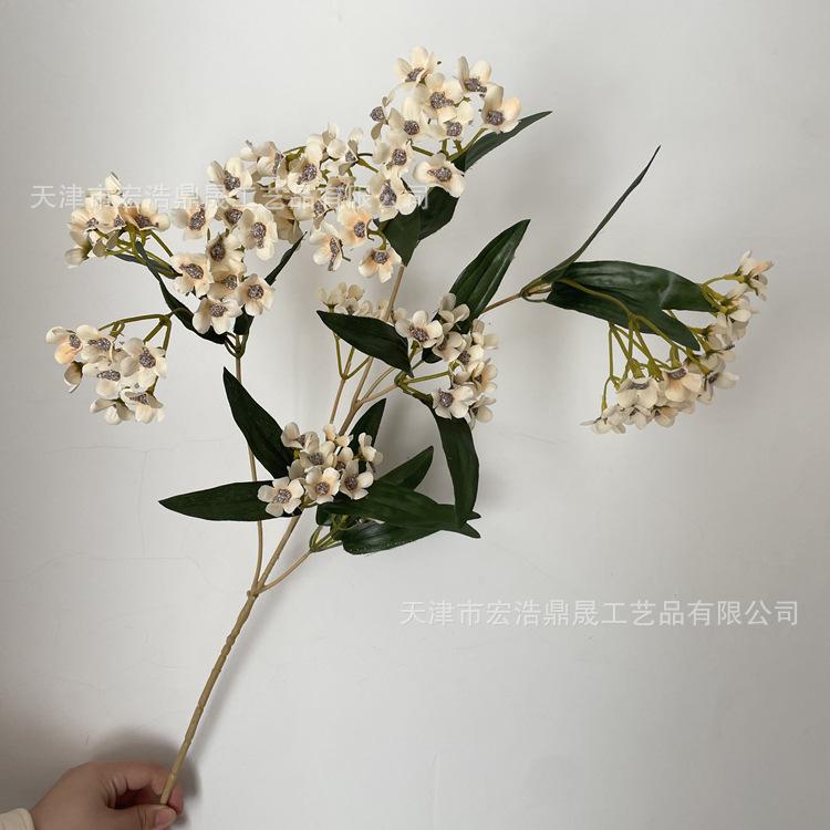 微信图片_202211251407366_副本