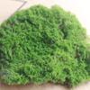 Simulação Parede de Plantas Verdes Gramado de Musgo Gramado de Musgo Simulação de Musgo Cena de Bonsai Janela Decoração de Musgo Falso Transfronteiriça
