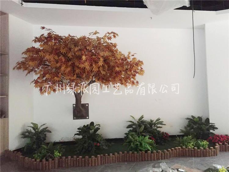 枫树红枫树绿枫79.jpg