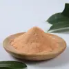 Proveedor transfronterizo de polvo de frutas y verduras, ingredientes para hornear pasteles de calabaza y espinacas, polvo de matcha, bebidas sustitutas de comidas, fabricante de envases personalizados