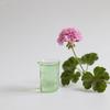Aceite Esencial de Geranio Rosa de Bulgaria, Aceite Esencial para Masajes, Venta al por Mayor de Materias Primas, Uso para Muestreo Industrial