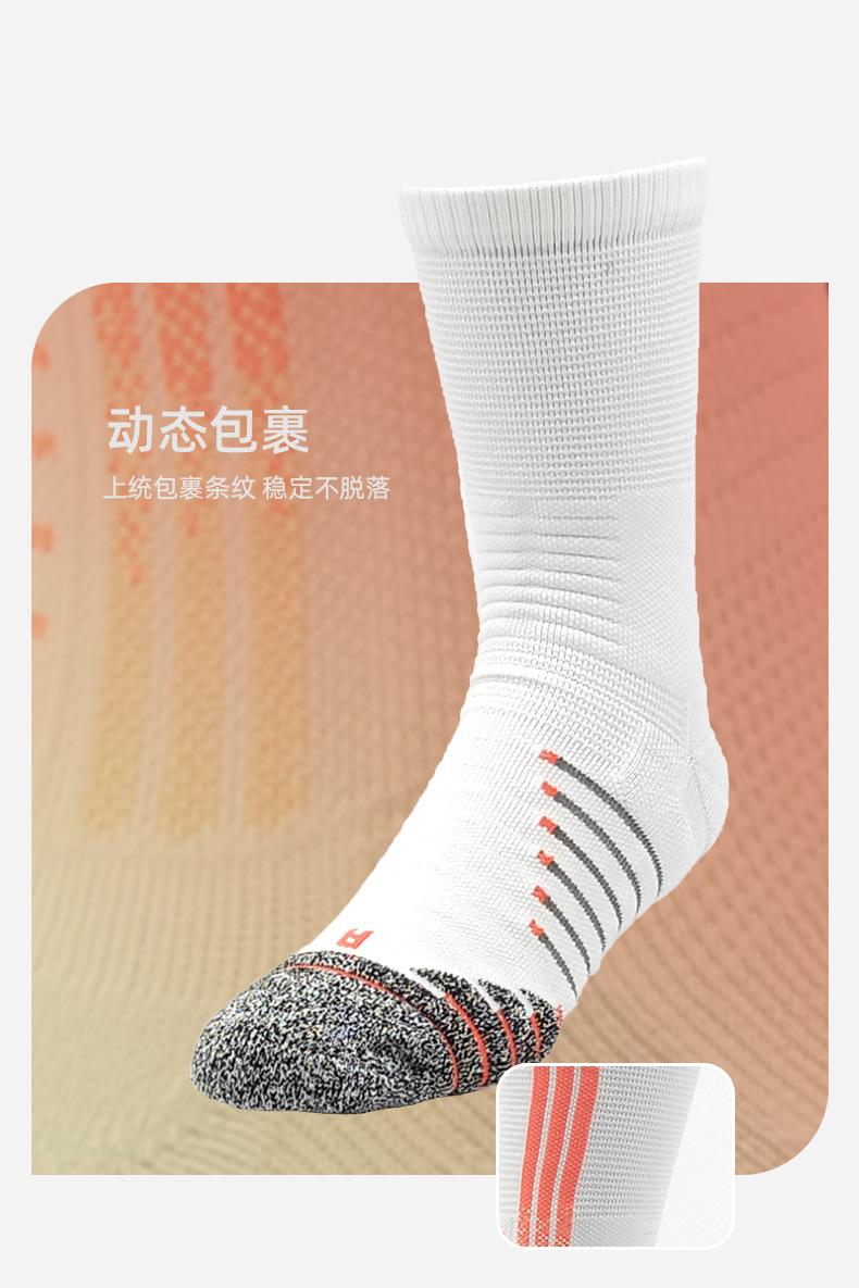 详情_01.jpg