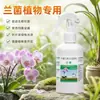 Raíz de Hongo Lan Nutrición y Protección Peptide Activo Mejorador de Suelo para Crecimiento y Floración Mejorados, Adecuado para Phalaenopsis, Cymbidium y Otras Variedades de Orquídeas, Fertilizante Universal