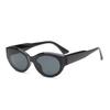 Gafas de sol personalizadas europeas y americanas, venta al por mayor mixtas, nuevas gafas de sol ovaladas de estilo retro hip hop para hombres y mujeres, gafas de sol transfronterizas de moda