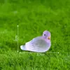 Paisaje de musgo en miniatura transfronterizo creativo pájaro paloma pequeño luminoso accesorios decorativos DIY mini adornos pequeños