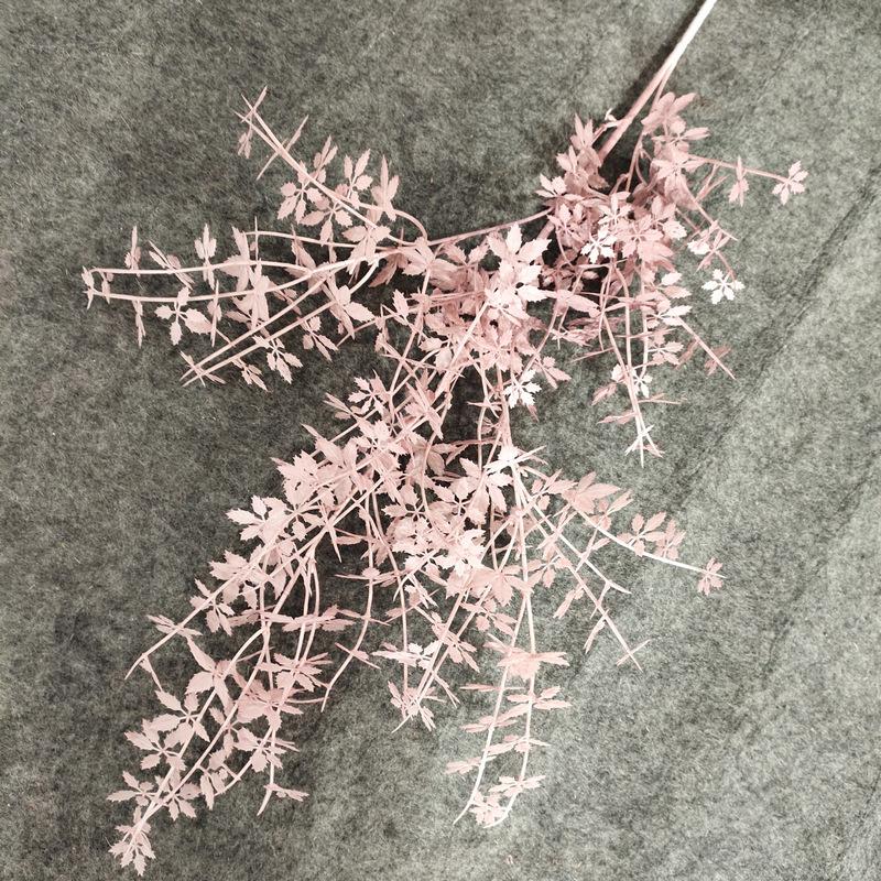 豆沙色