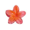 Acessório de Cabelo Colorido de Flor Plumeria para Comércio Exterior, Vendido Quente, Transfronteiriço, Retro, de Acrílico para Meninas, Acessórios de Cabelo na Parte de Trás da Cabeça