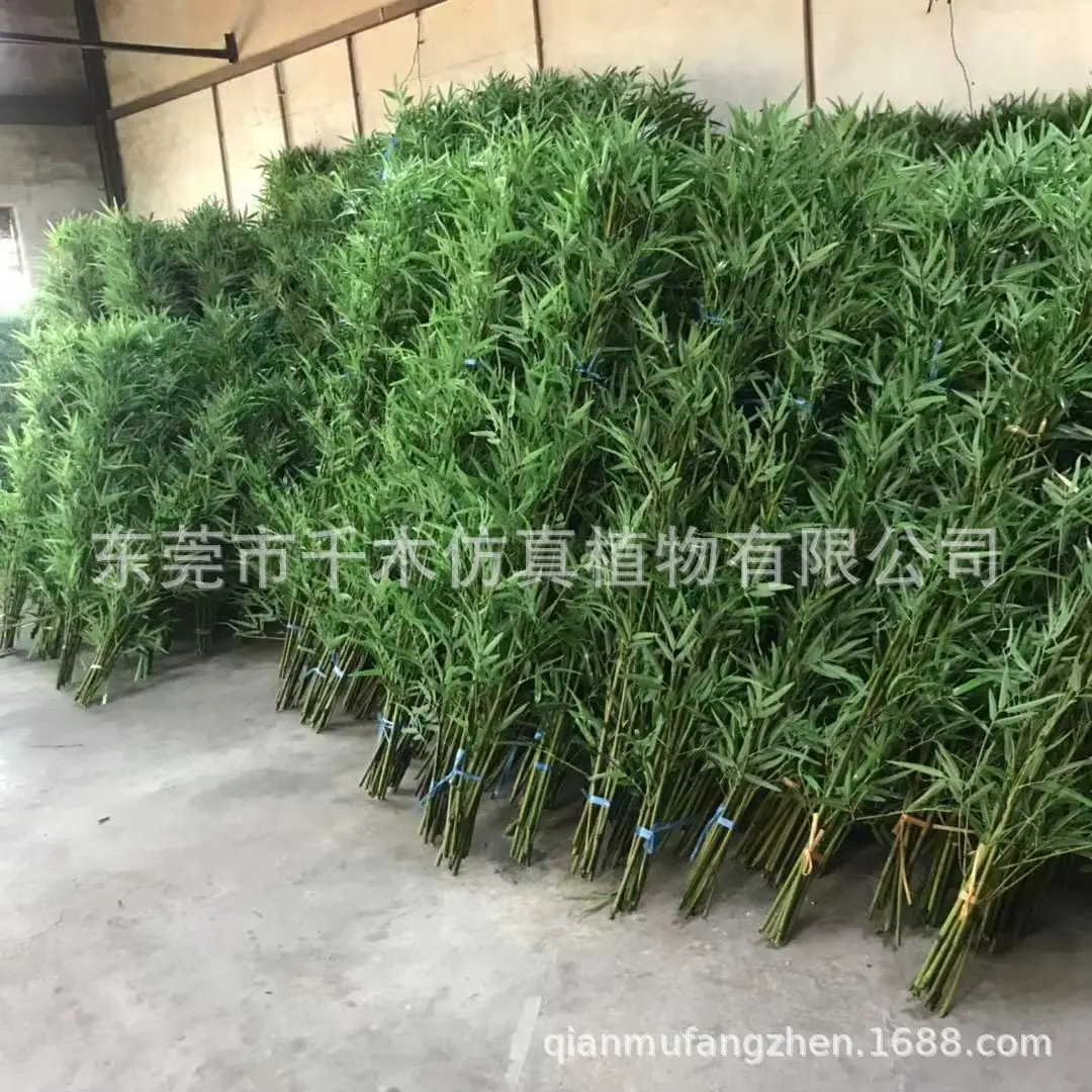 微信图片_20190824184734