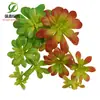 Simulación planta suculenta súper grande tamaño pequeño suculenta bonsái planta verde flor de plástico en maceta micro paisaje con pared vegetal
