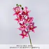 Flor Artificial Cattleya de 7 Cabezas en Tallo Único para Arreglo Floral de Boda Decoración, Material de Flor de Línea Cattleya para Decoración del Hogar Venta al por Mayor