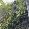 Cadena de Lluvia de Cobre para Aleros, Cadena de Lluvia de Aluminio Estilo Japonés