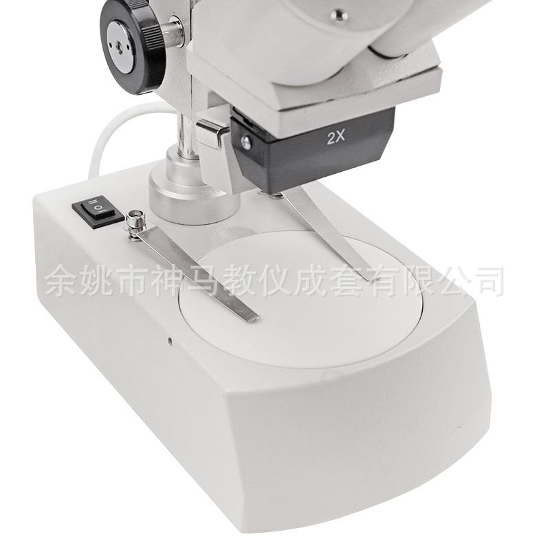 ST-20-2L-8.jpg